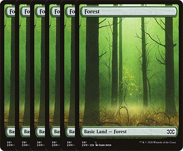 Your 6 Forests