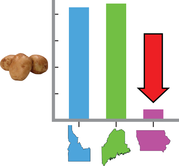 Bar chart with y-axis labeled with 3 potatoes and 4 tick marks, x-axis has three states: Idaho, blue, bar just past 4 ticks; Maine, green, bar even further past 4 ticks, Iowa, purple, bar below one tick. Red arrow points at Iowa's bar.