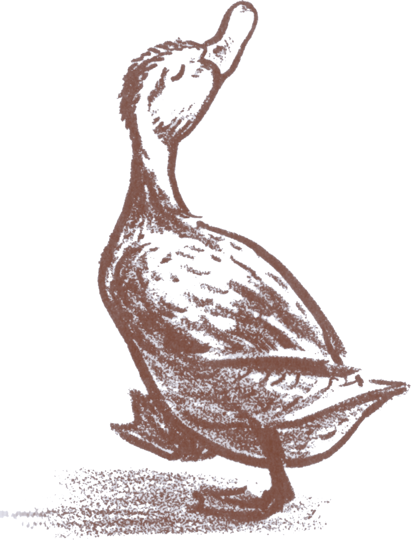 Illustration of Mrs. Mallard from the book Make Way for Ducklings: an adult duck drawn with brown brushstrokes, as are her children