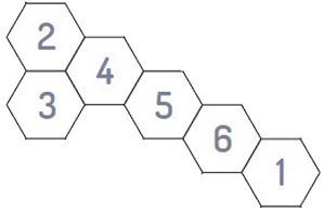 Six numbered hexagons