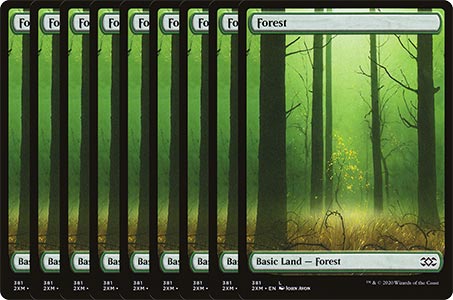 Your 9 Forests
