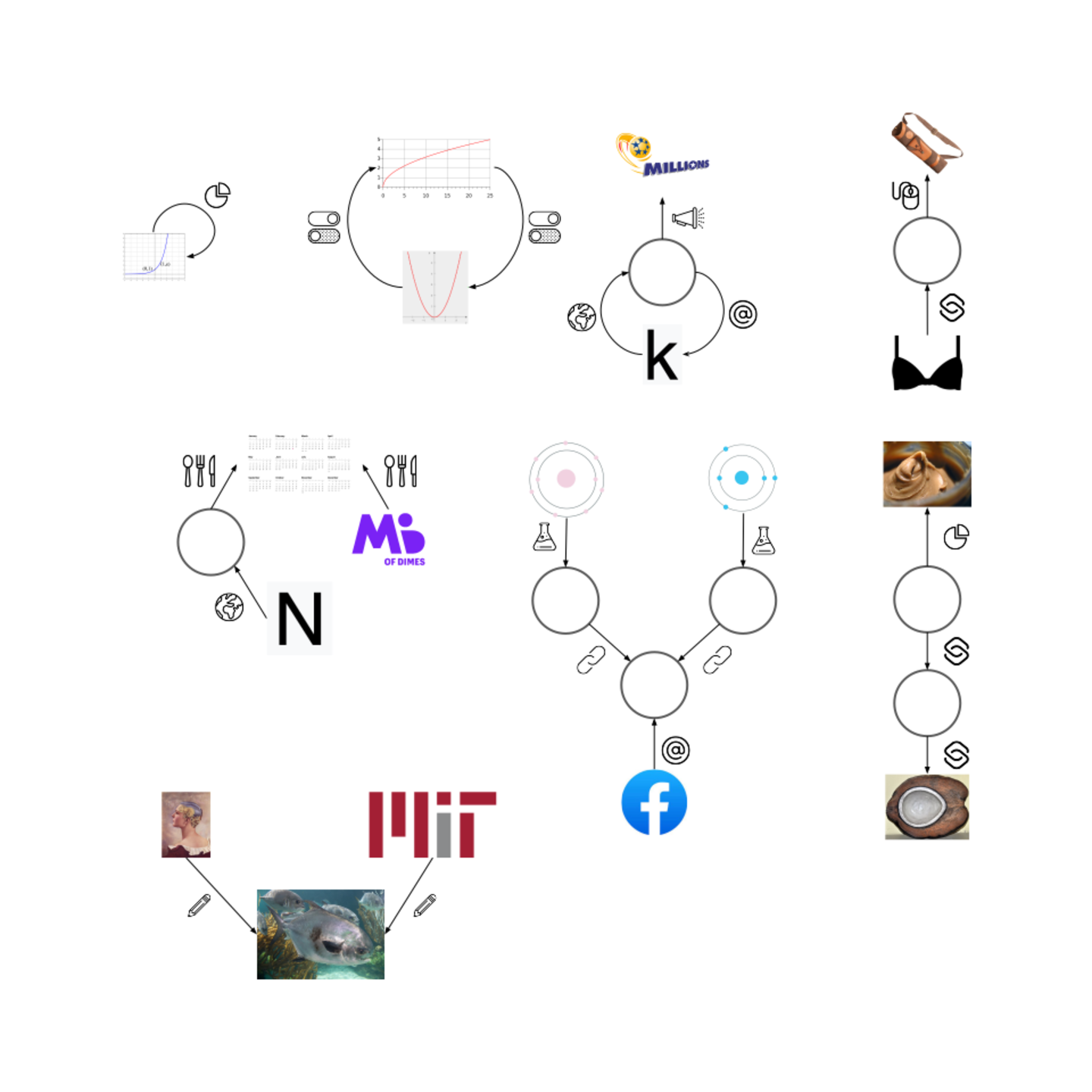 A diagram with images and circles connected by arrows