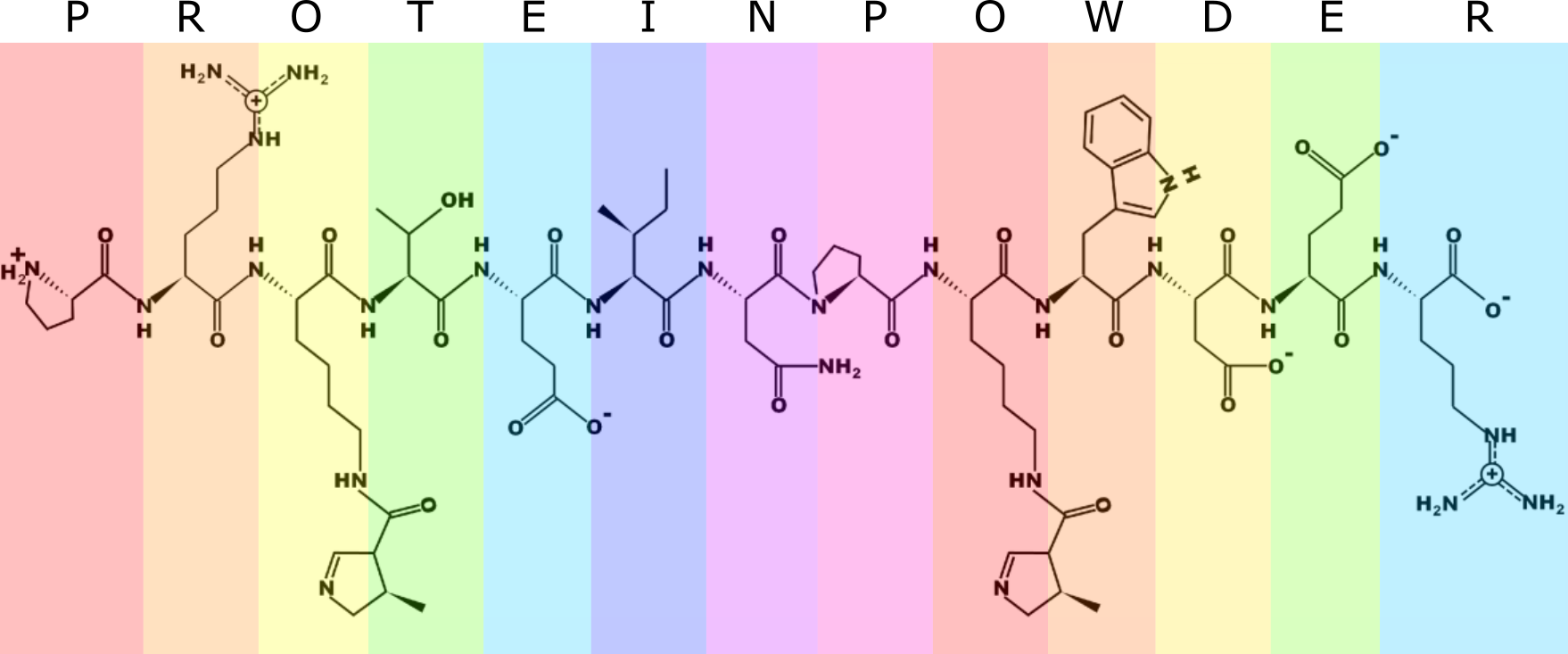 A short peptide chain, with each amino acid on a different colored background. Above the chain are the letters PROTEINPOWDER.